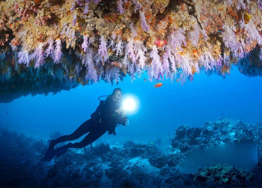 Torcia Subacquea Pro