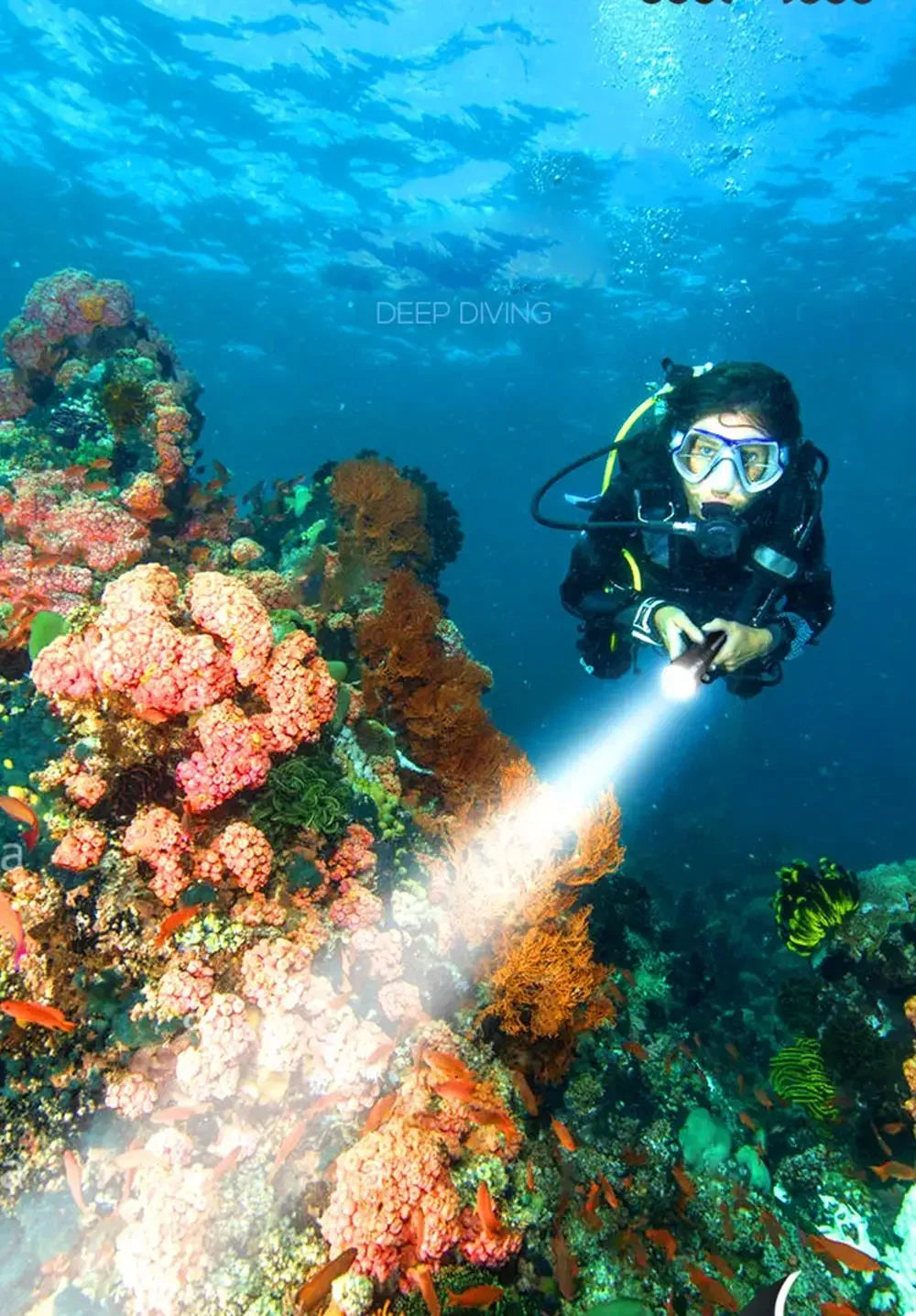 Torcia Subacquea Pro